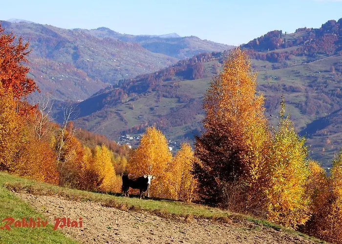 Plai Rakhiv