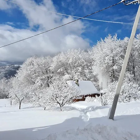 Plai Guest house Rakhiv
