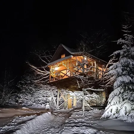 Plai Guest house Rakhiv