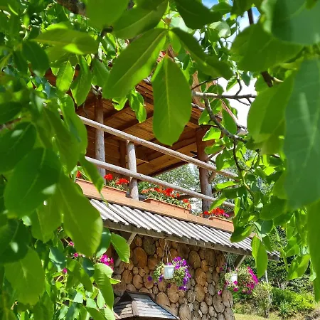 Guest house Plai Rakhiv