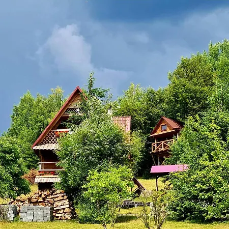 Guest house Plai Rakhiv