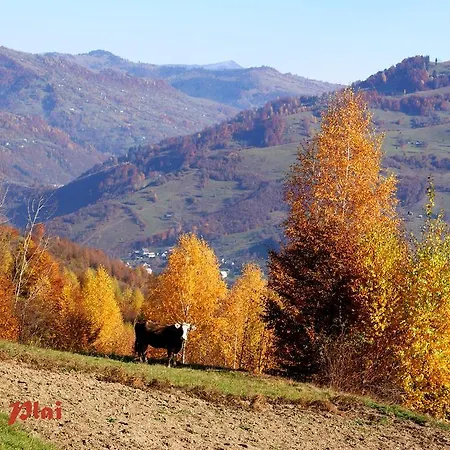 Plai Рахов
