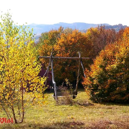 Plai Guest house Rakhiv