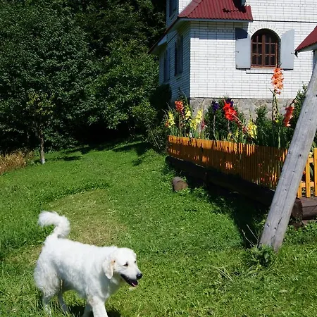 Guest house Plai Rakhiv