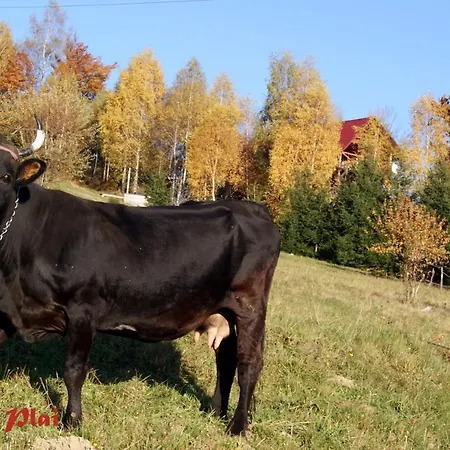 Plai 4* Рахов