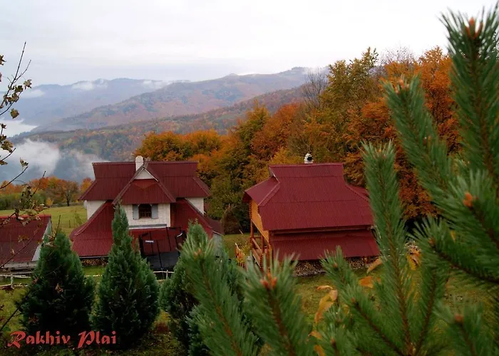 Plai 라키브
